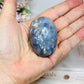 Blue Owyhee Opal Palm Stone