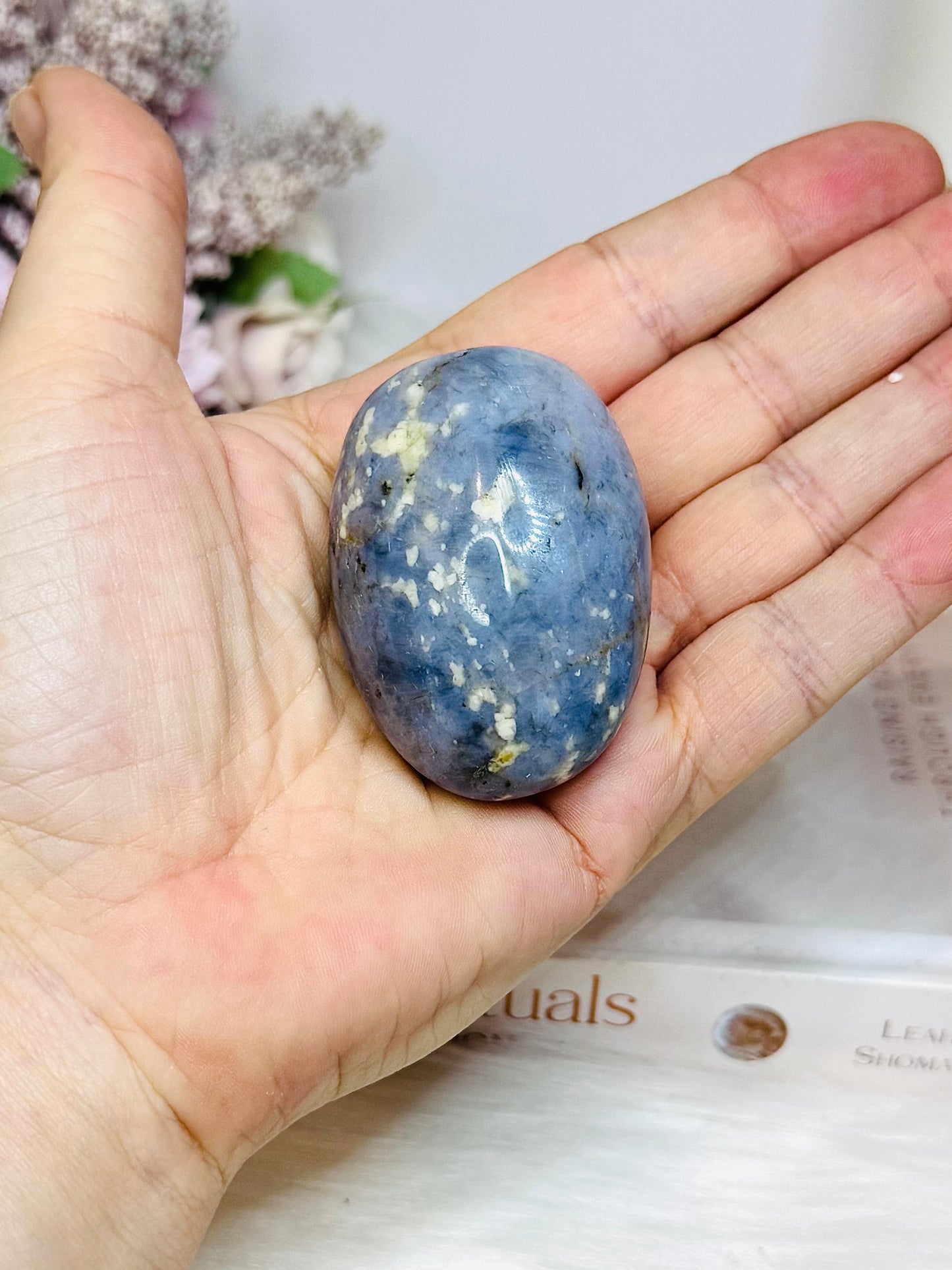 Blue Owyhee Opal Palm Stone