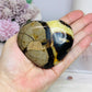 Chunky Septarian Druzy Heart 256g
