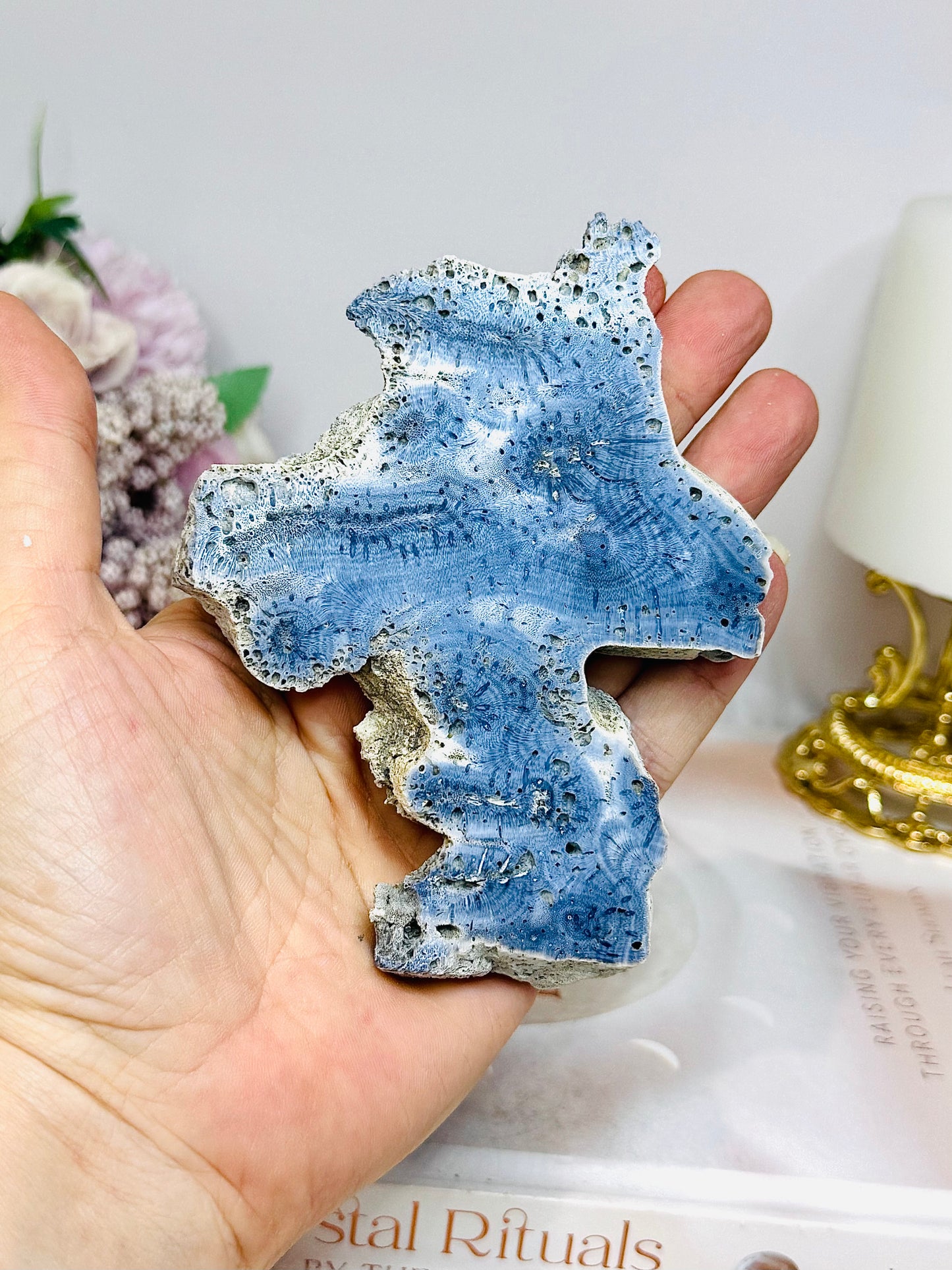 Blue Coral Fossil Specimen Slab on Stand 10.5cm