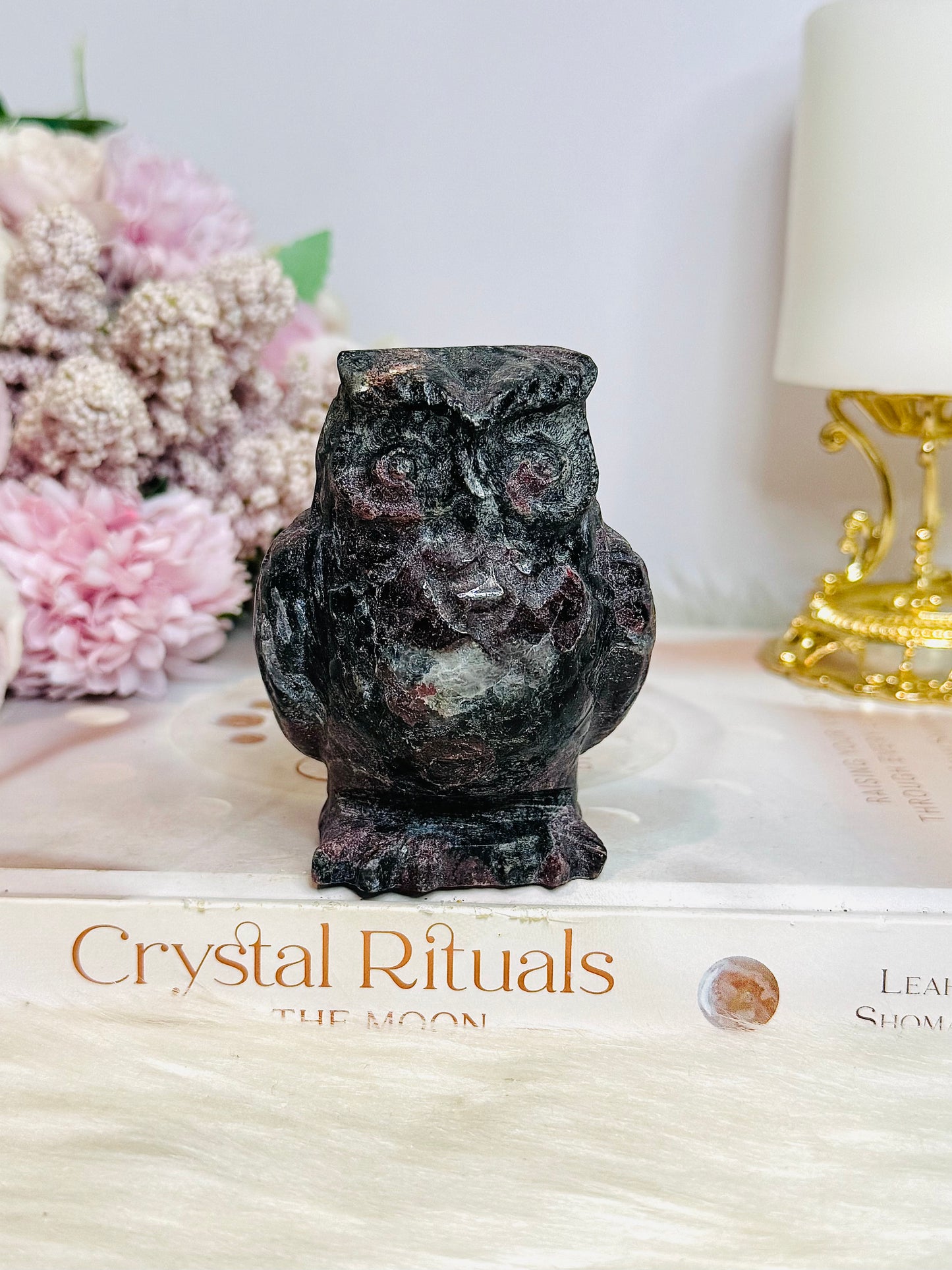 Chunky Garnet In Astrophyllite Carved Owl 9cm 410g