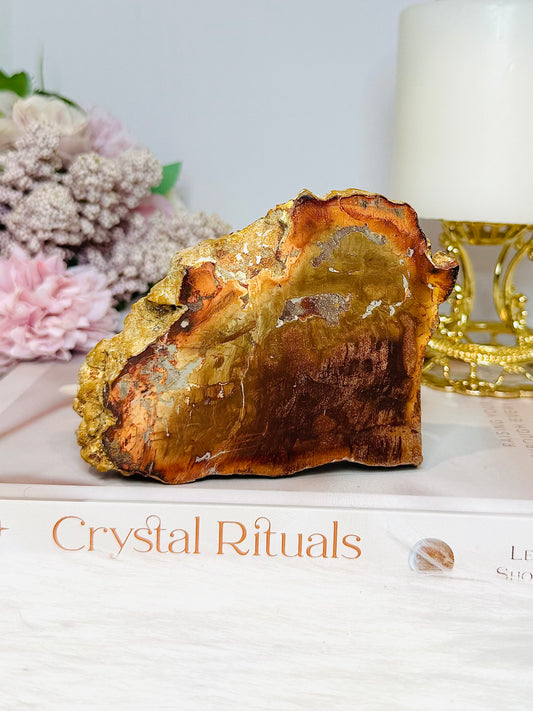 Natural Petrified Wood Slab 10cm 240g