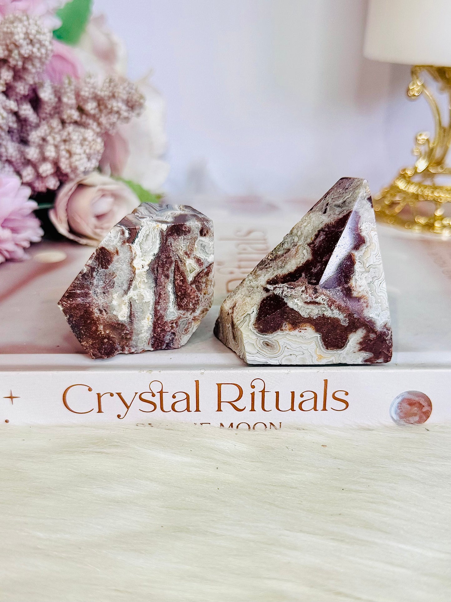 Stunning Natural Set of 2 Polished Mexican Lace Agate Freeforms
