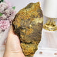 A Collectors Piece ~ Rare Large Vivianite Specimen 14cm 548g