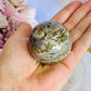 Absolutely Beautiful Druzy Orbicular Ocean Jasper Egg 7cm On Stand