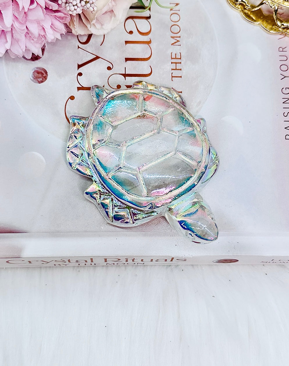 Absolutely Beautiful High Grade Angel Aura Clear Quartz Carved Turtle 9cm