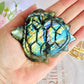 The Most Stunning Absolutely Full Of Gorgeous Flash High Grade Labradorite Carved Turtle 10cm