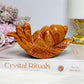 Chunky Large Orange Jasper Snail 11.5cm 296g
