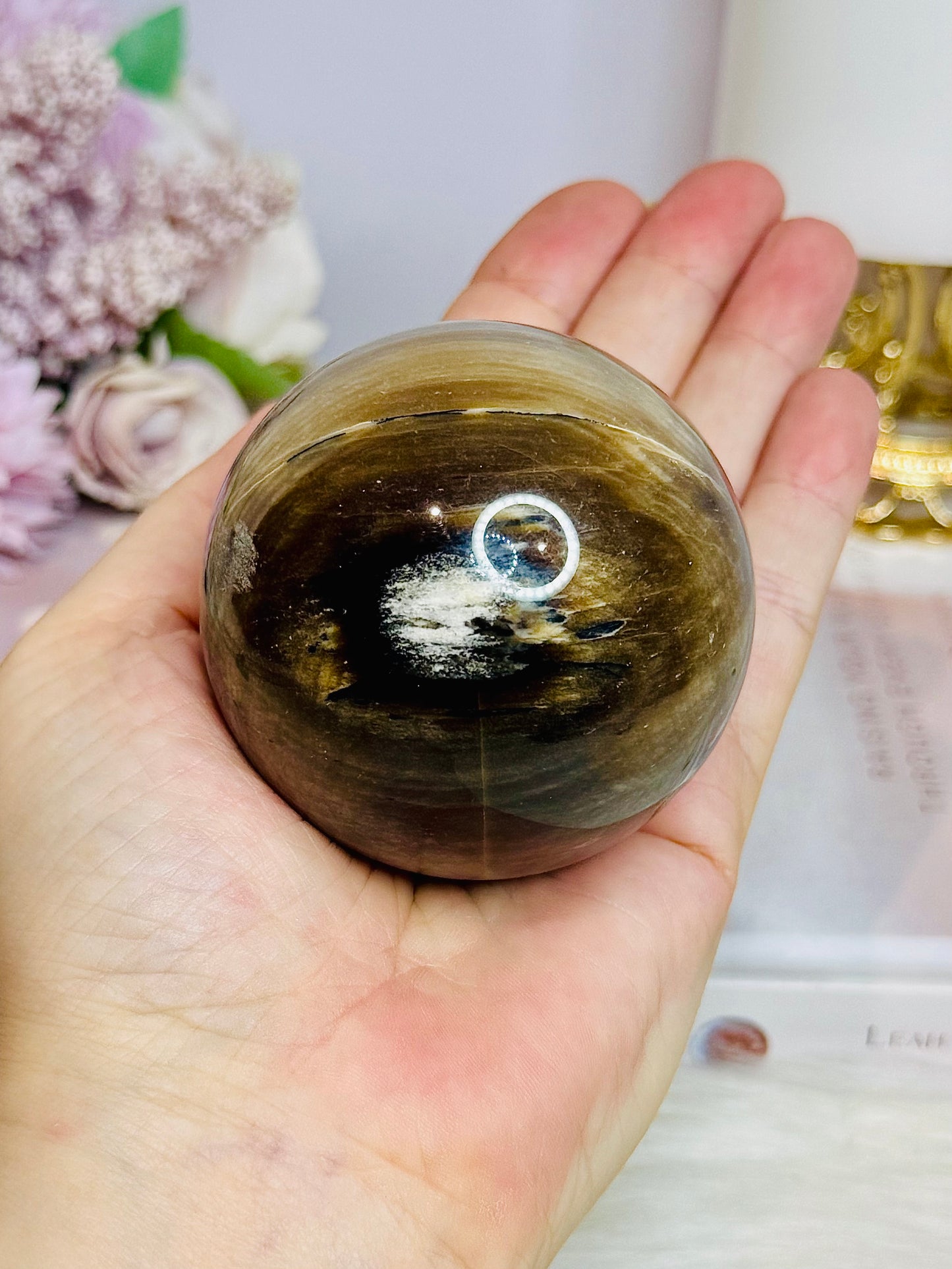 Petrified | Fossilised Wood Sphere on Stand 345g