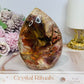 Large Petrified Wood Freeform 13cm 692g