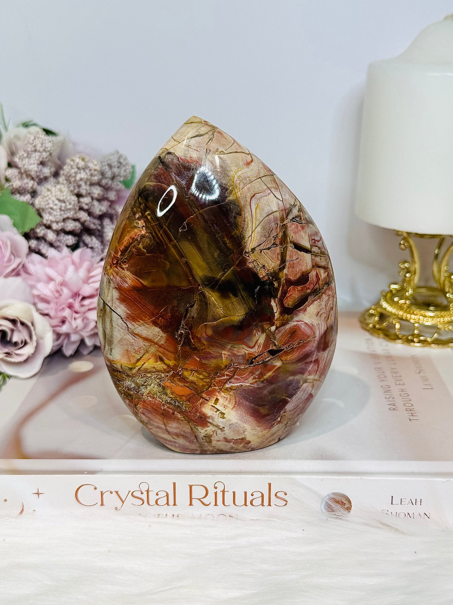 Large Petrified Wood Freeform 13cm 692g