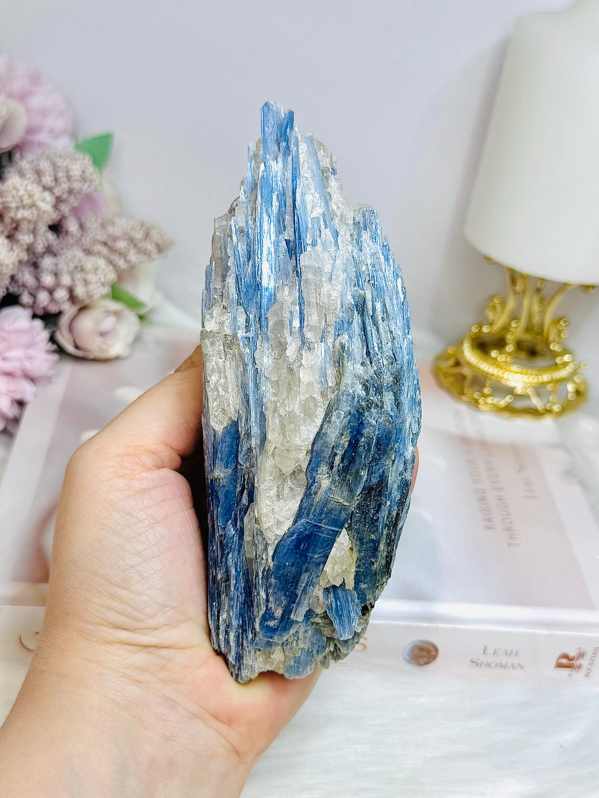 Large Blue Kyanite Freeform 459g 14cm
