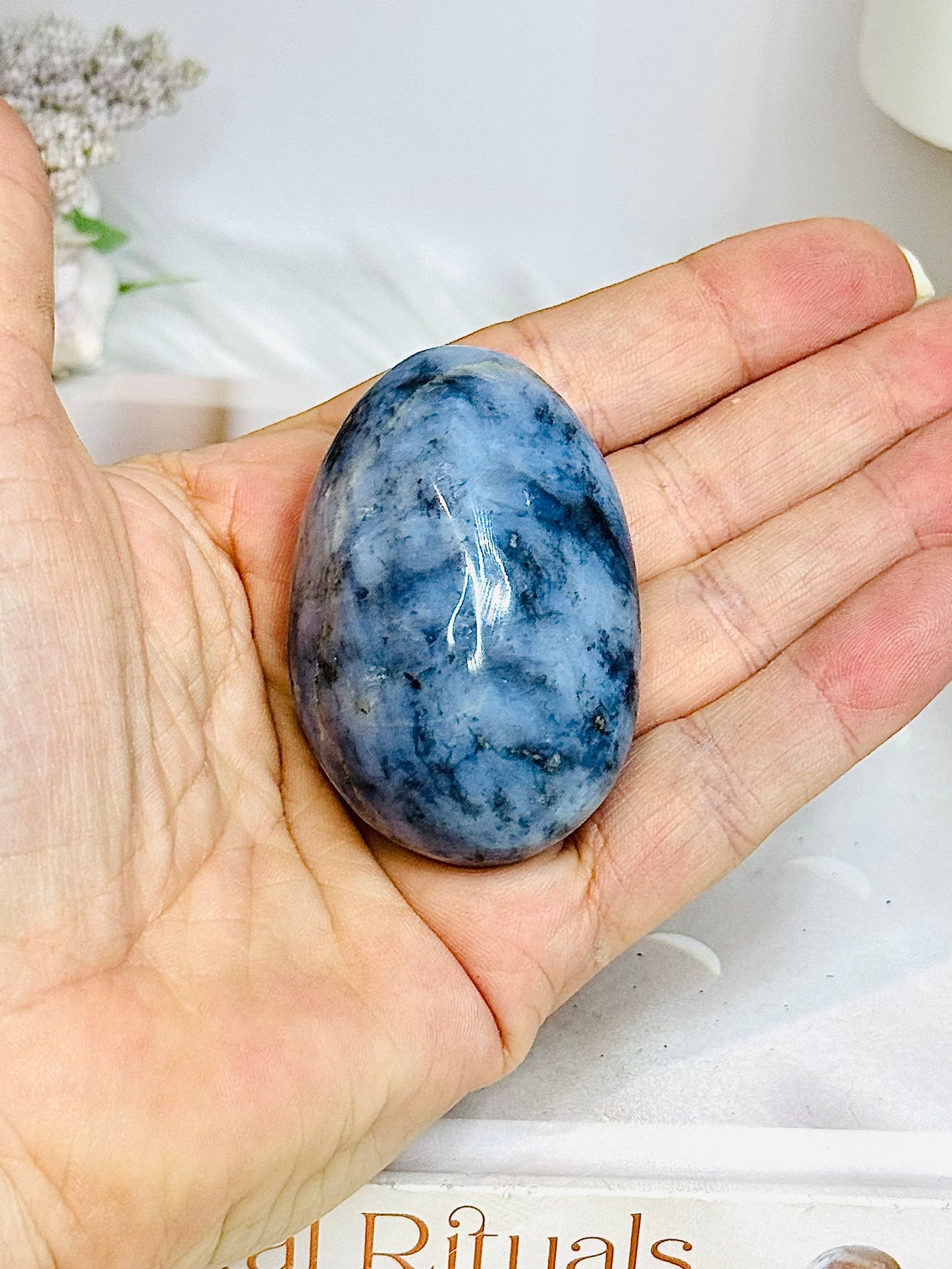 Blue Owyhee Opal Palm Stone (stand is display only)