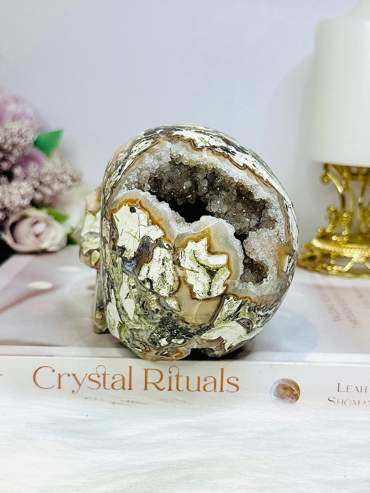 Large Money Agate Druzy Skull 751g