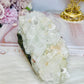 Large High Grade Natural Apophyllite Specimen 757g 14cm