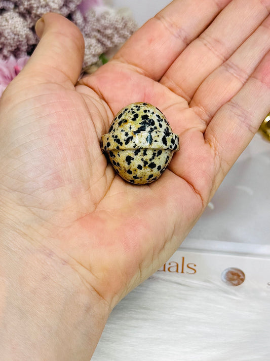 Dalmatian Jasper Planet