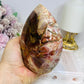 Large Petrified Wood Freeform 13cm 692g