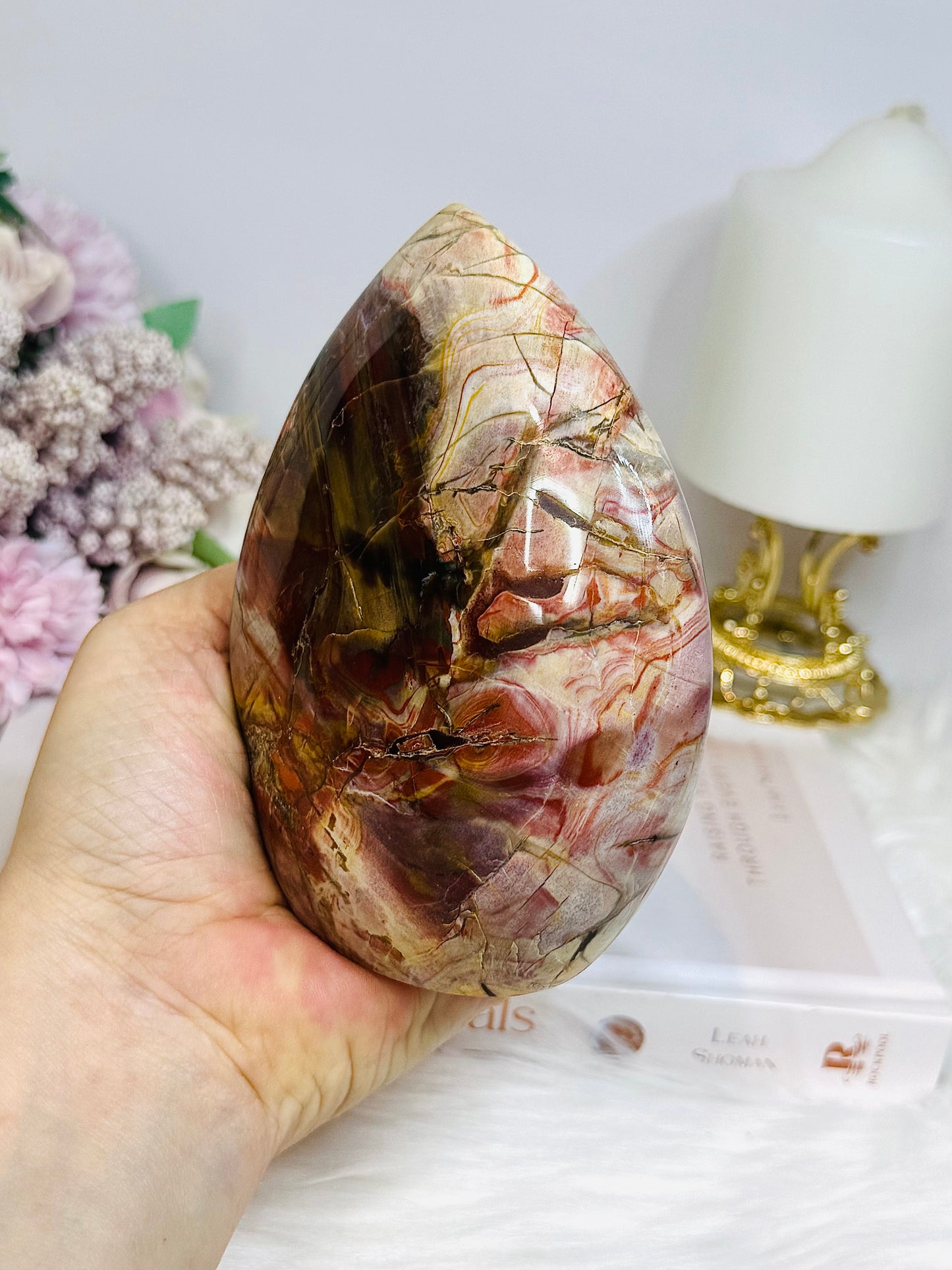 Large Petrified Wood Freeform 13cm 692g
