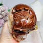 Large Carnelian Carved Skull 1.2KG 12.5cm ~ Discounted as it does not stand straight and needs the stand under the side to keep it up