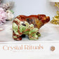 Money Agate Carved Bear 8cm