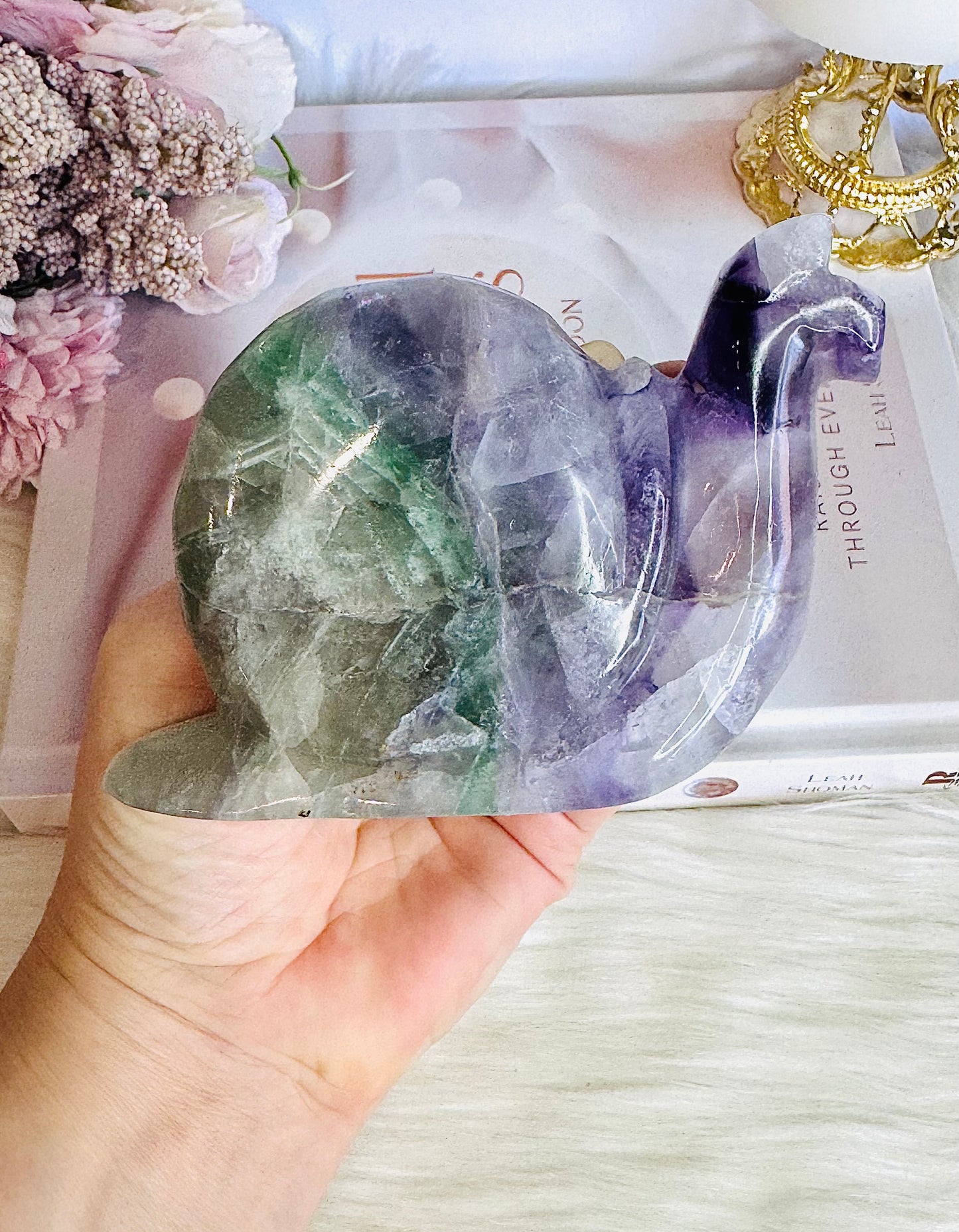 Fluorite Carved Large Snail 11cm 449grams