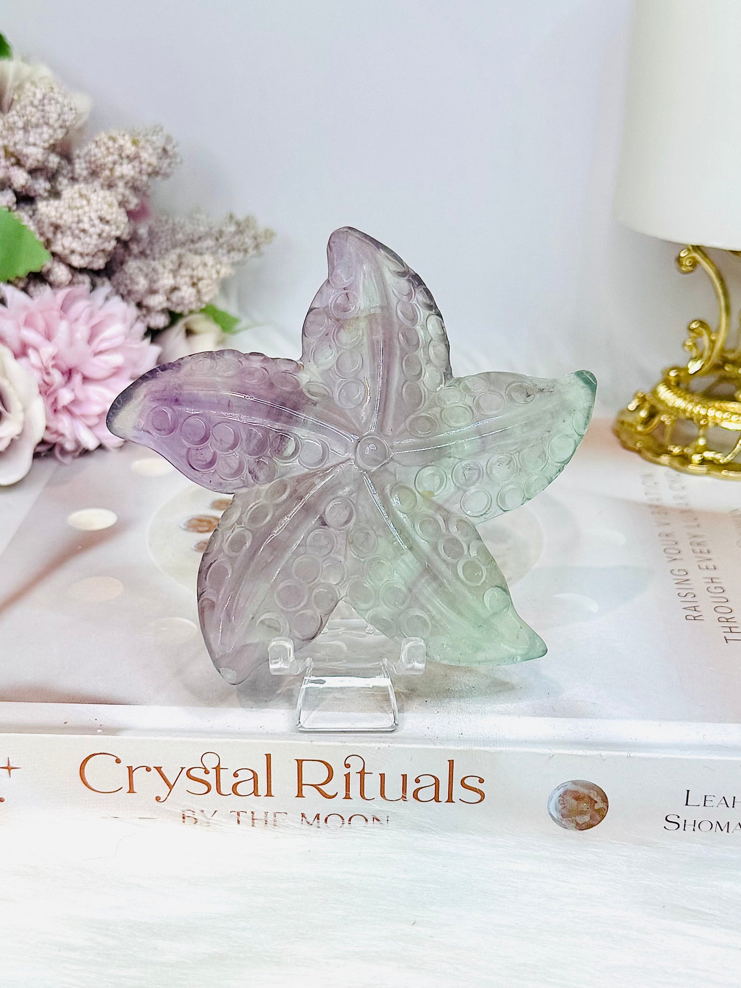 Fluorite Star Fish On Stand 9cm