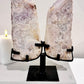 Fabulous Huge 1.92KG 25cm Chunky High Grade Pink Amethyst Angel Wings with Stunning Crystallisation