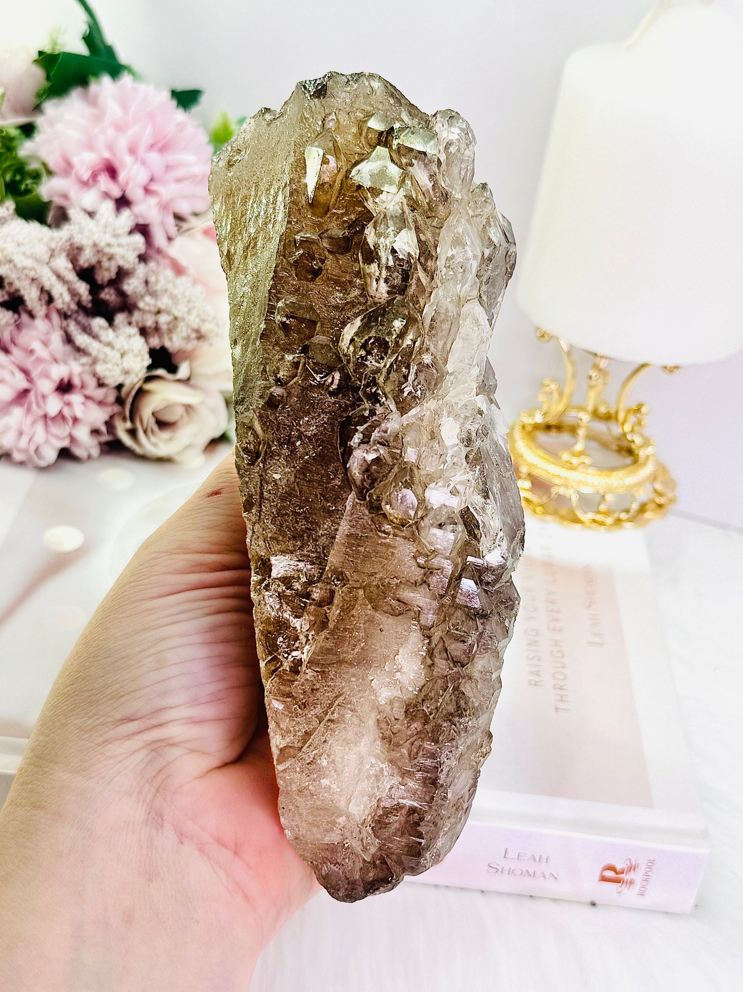 A Collectors Piece ~ Magnificent Elestial Quartz | Jacare Alligator | Skeletal Quartz Specimen 16cm