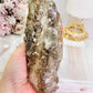 A Collectors Piece ~ Magnificent Elestial Quartz | Jacare Alligator | Skeletal Quartz Specimen 16cm