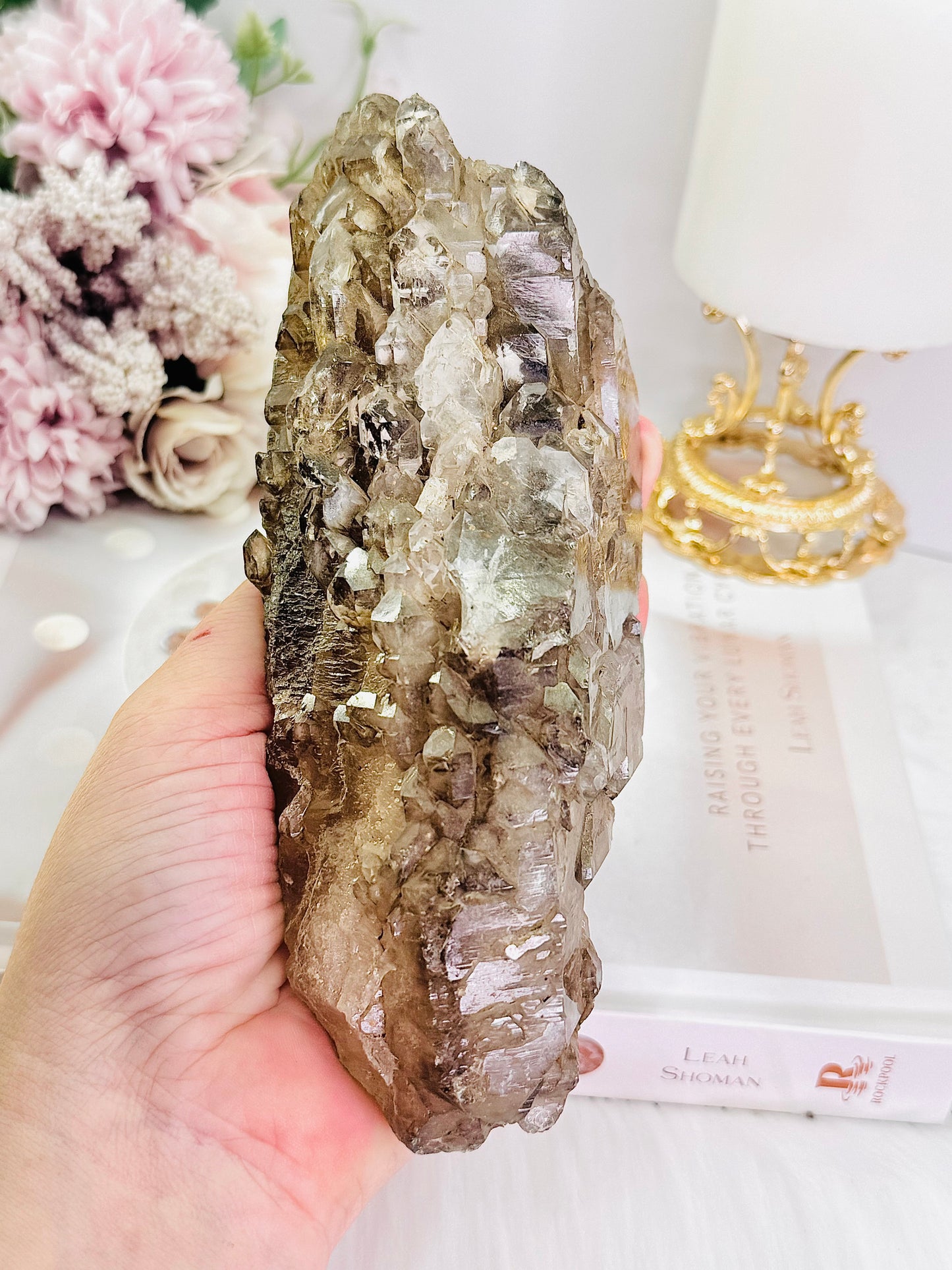 A Collectors Piece ~ Magnificent Elestial Quartz | Jacare Alligator | Skeletal Quartz Specimen 16cm