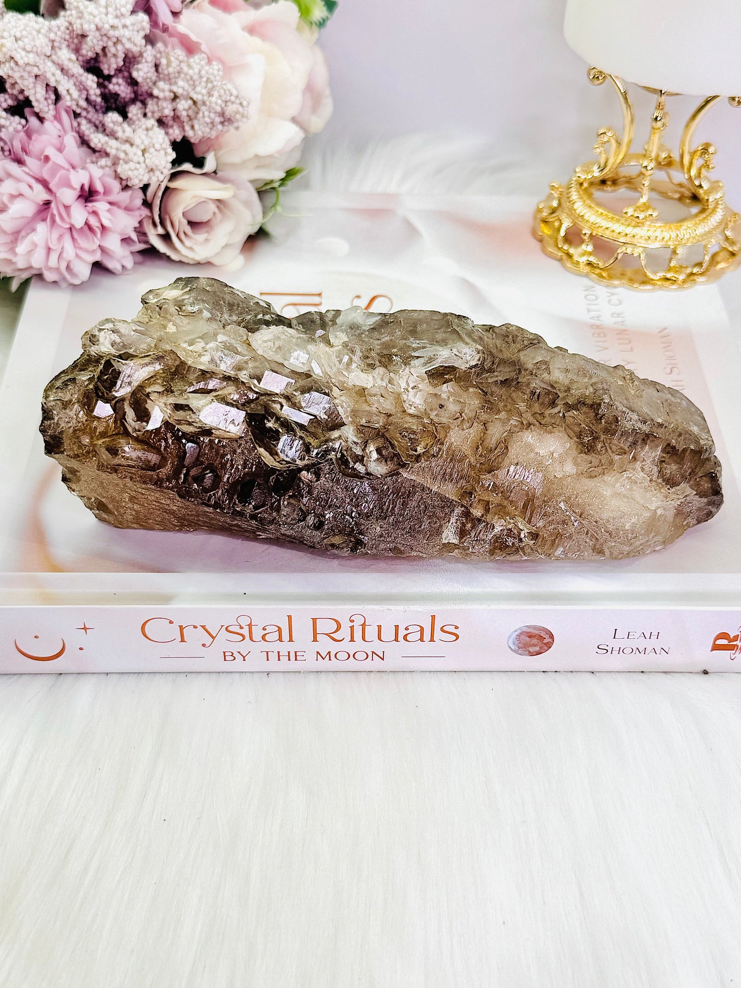 A Collectors Piece ~ Magnificent Elestial Quartz | Jacare Alligator | Skeletal Quartz Specimen 16cm