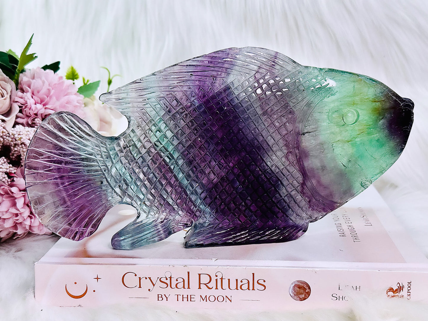 WOWWW!!!! Absolutely Magnificent Huge 23cm 784gram Carved To Perfection Stunning Rainbow Fluorite Fish ~ What A Masterpiece