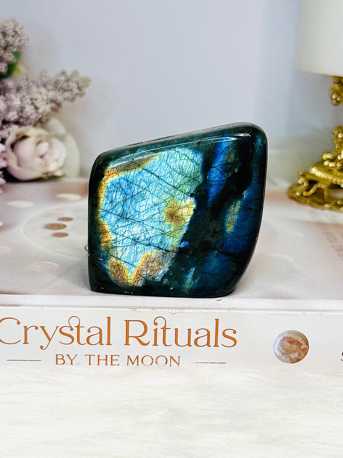 Labradorite Freeform 224g