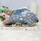 Large Chunky Orbicular Druzy Jasper Slab On Stand 652g 22cm