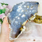 Large Chunky Orbicular Druzy Jasper Slab On Stand 652g 22cm