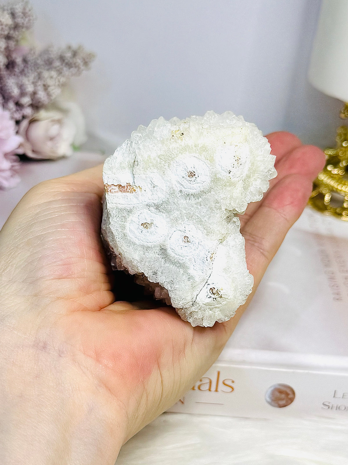 White Spirit | Cactus Quartz 222g