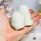White Spirit | Cactus Quartz 222g