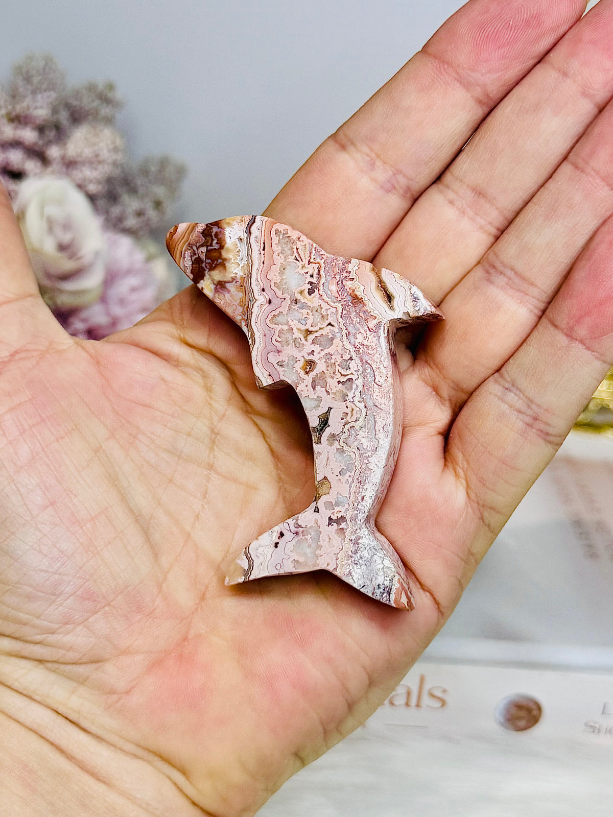Crazy Lace Agate Carved Dolphin 7cm