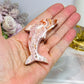 Crazy Lace Agate Carved Dolphin 7cm