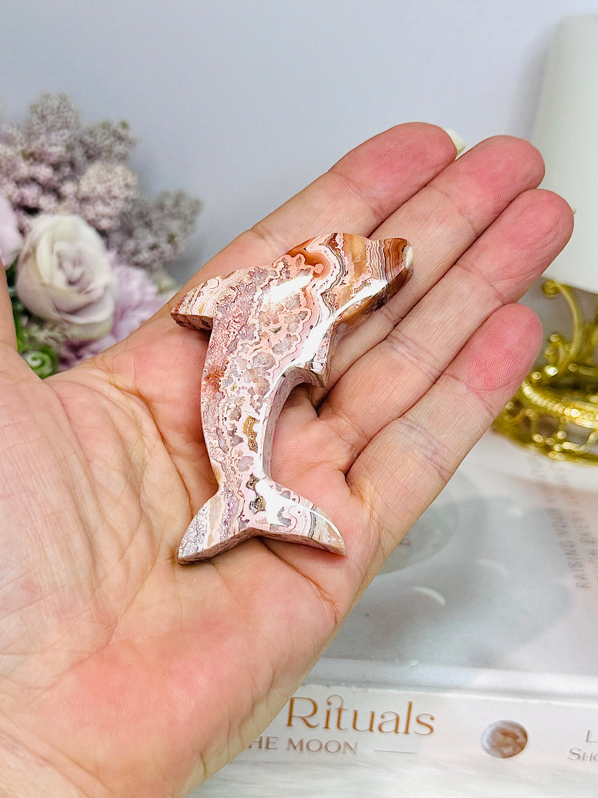 Crazy Lace Agate Carved Dolphin 7cm