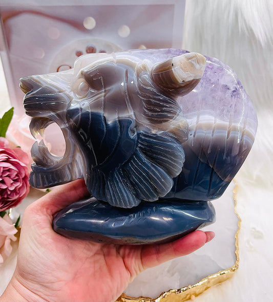 INCREDIBLE HUGE 2.49KG DRUZY AGATE AMETHYST LION HEAD CARVING - ABSOLUTE MASTERPIECE!!! $899 x