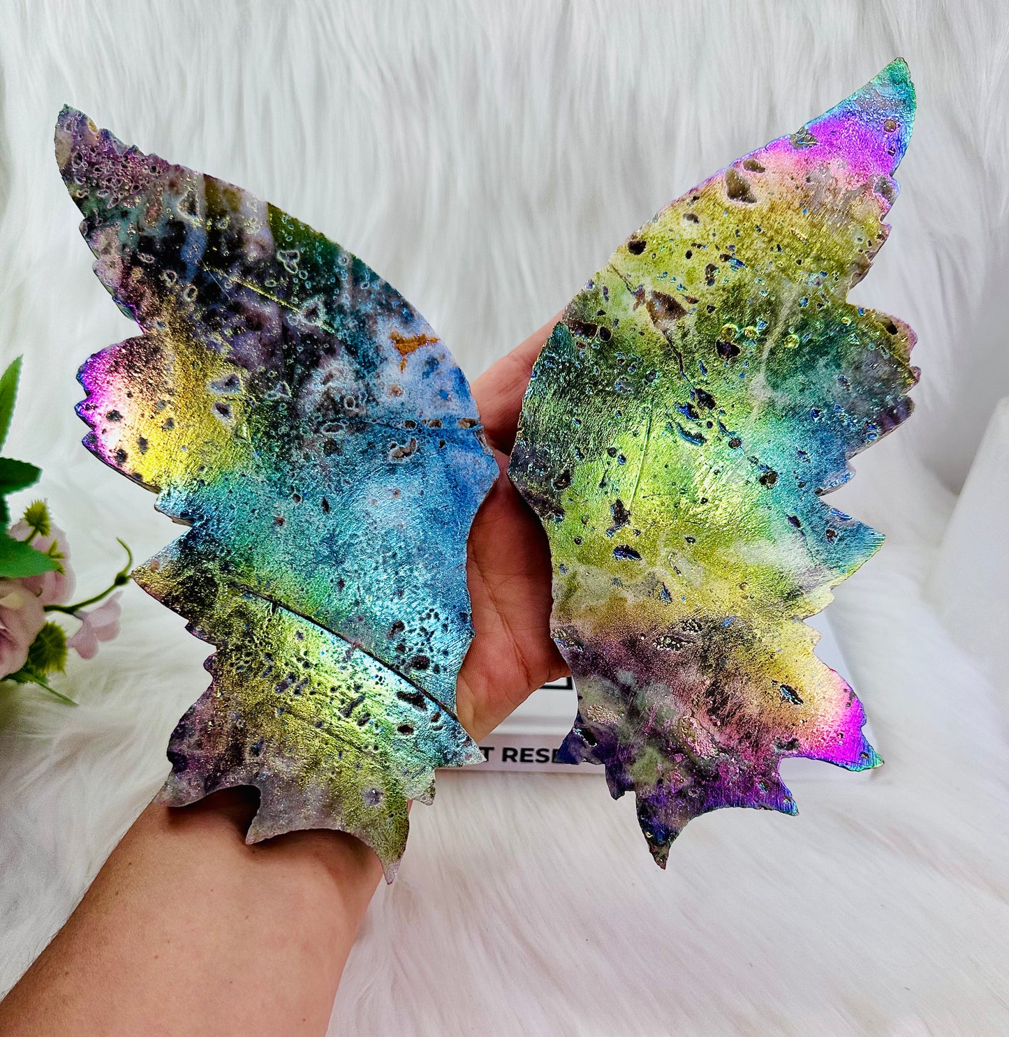 Classy & Fabulous True Statement Piece! Aura Druzy Sphalerite Huge Butterfly Wings ~ 26cm Tall & 36cm Wide (On Stand)