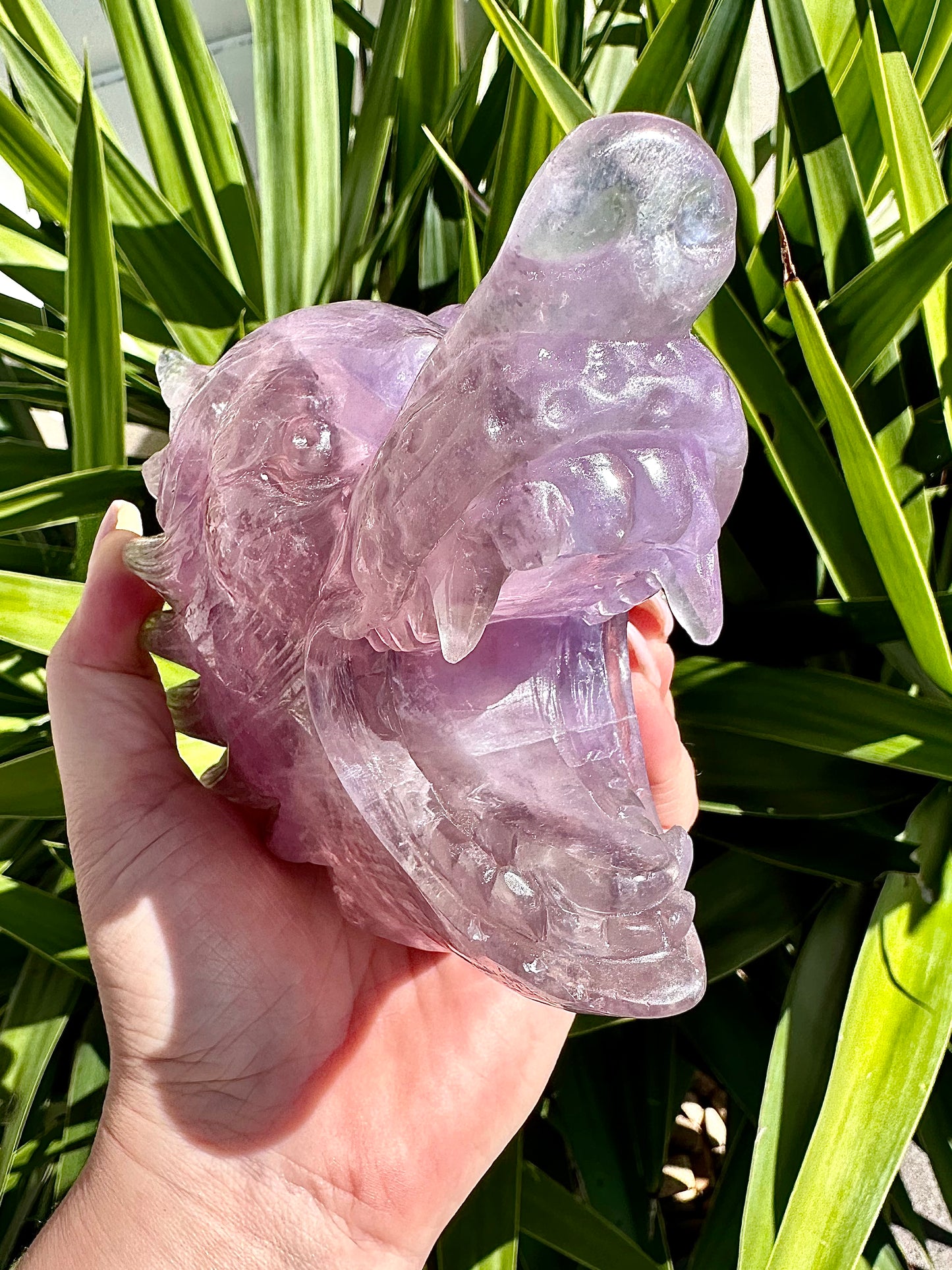 ⚜️ SALE ⚜️Absolutely Amazing & Perfect Huge 1.47Kg Purple Fluorite Wolf Head Carving with Rainbows & Clarity